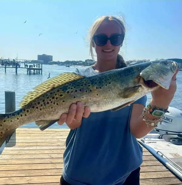 how to catch speckled trout