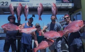 Group Fishing for Red Snapper