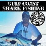Gulf Coast Shark Fishing