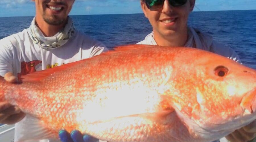 It’s Time to Start Booking For Red Snapper Season 2017!