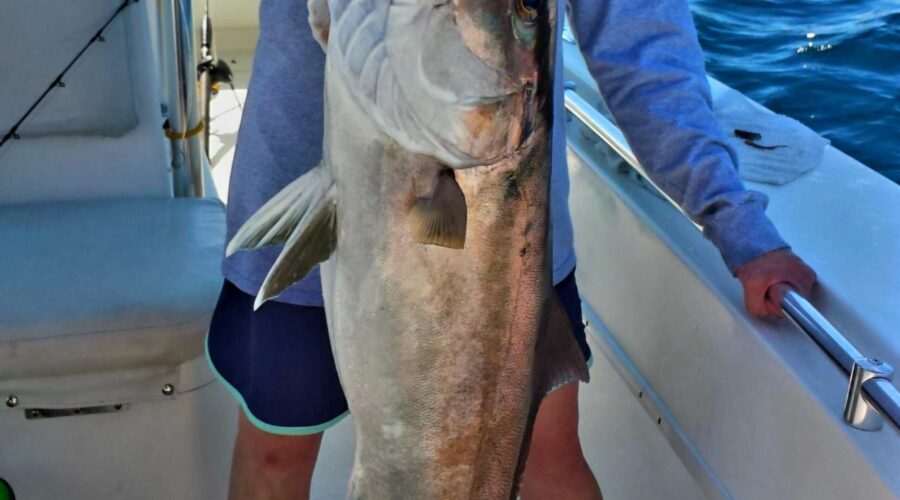 Reel ‘Em in While Offshore Fishing in Destin, Florida