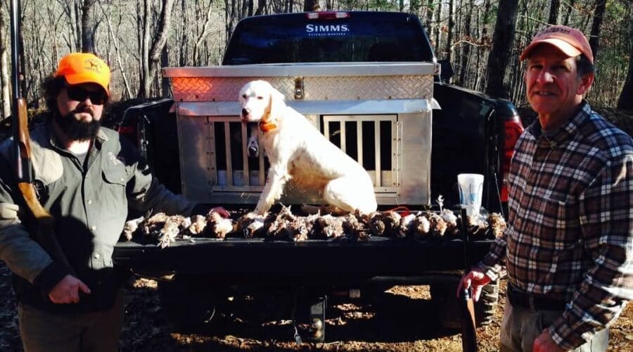 Quail Hunting 101
