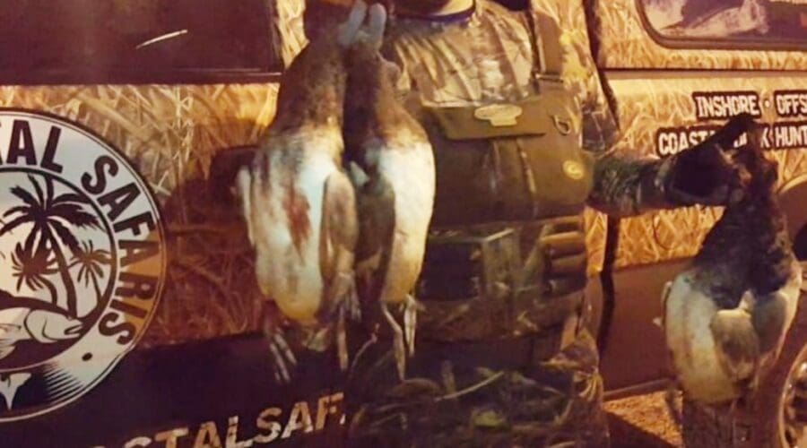 How Can Weather Affect Duck Hunting?