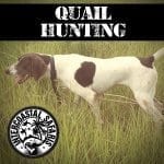 South Alabama Quail Hunting