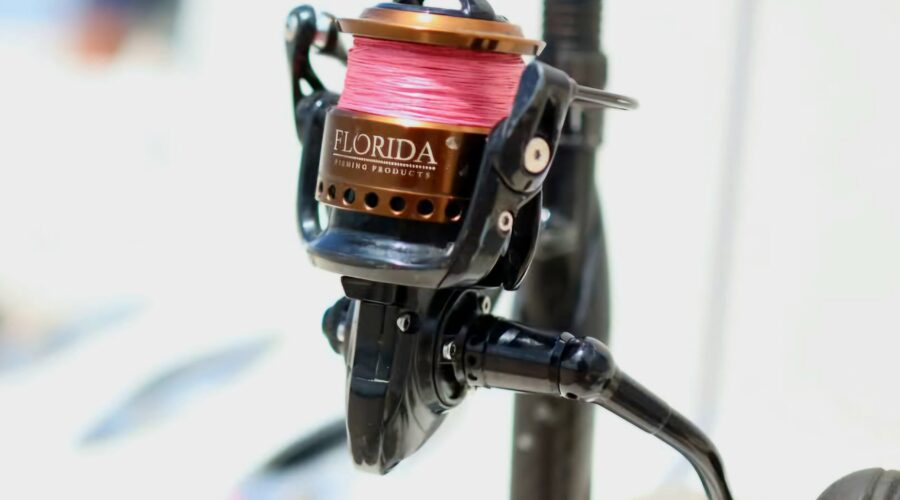 Learn to Fish with Intercoastal Safaris’ Saltwater Fishing School