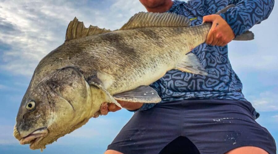 Fishing Alabama’s Beaches