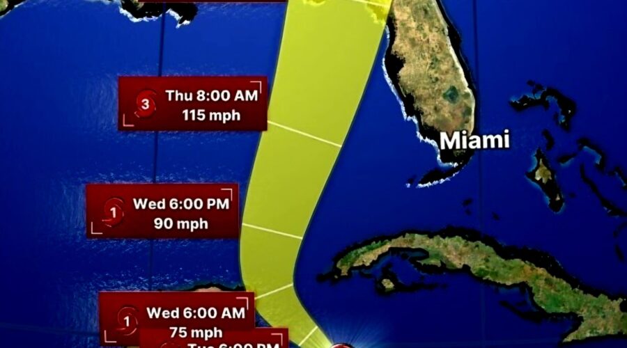 How Do Hurricanes Affect Waterfowl?