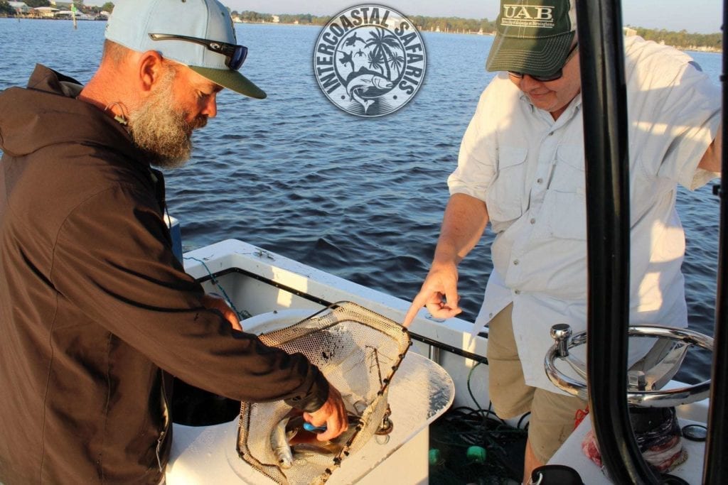 Saltwater Fishing School from Intercoastal Safaris — Learn How to Fish!