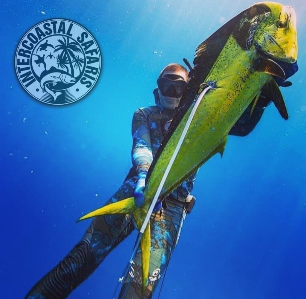 Scuba Diving and Spearfishing in Alabama and Florida