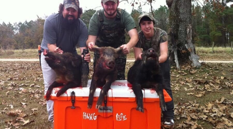 3 Ways to Hunt This Summer