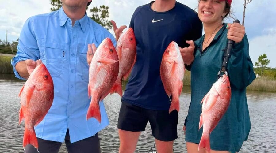 Fishing Report – July 2019 | Intercoastal Safaris