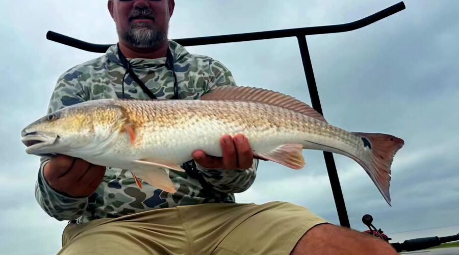 Fishing Report – August 2019 | Intercoastal Safaris