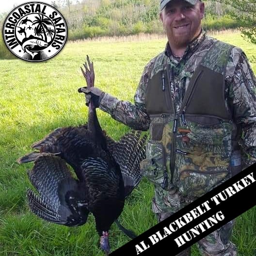 Turkey Hunts in Alabama