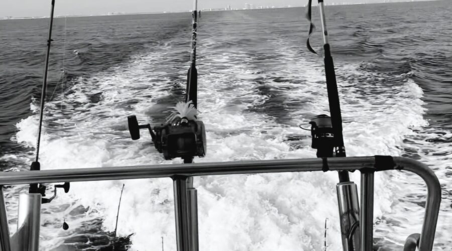 Fishing Report- September 2019 | Intercoastal Safaris
