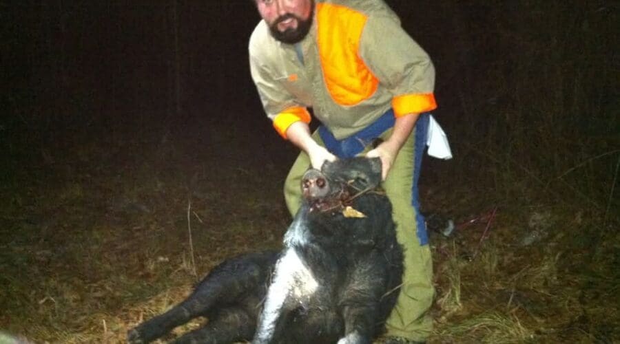 THE WILD BOAR: A BRIEF HISTORY