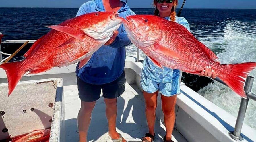Gulf Shores and Orange Beach, AL Fishing Report – June 2025