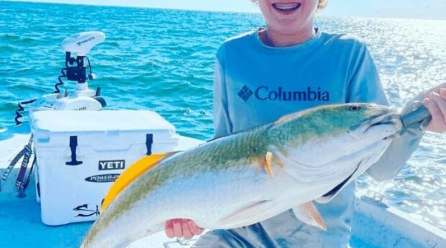 Redfish: A Delicious and Nutrient-Rich Option for Your Plate