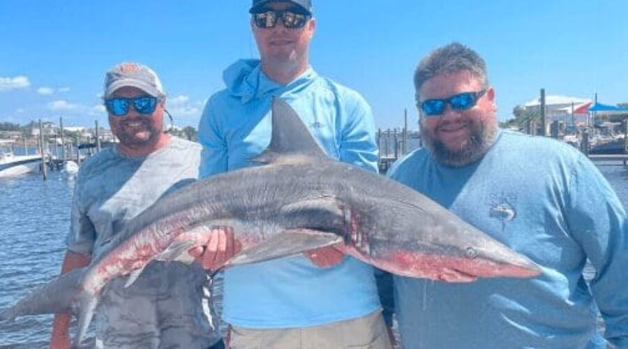 Shark fishing laws in Alabama