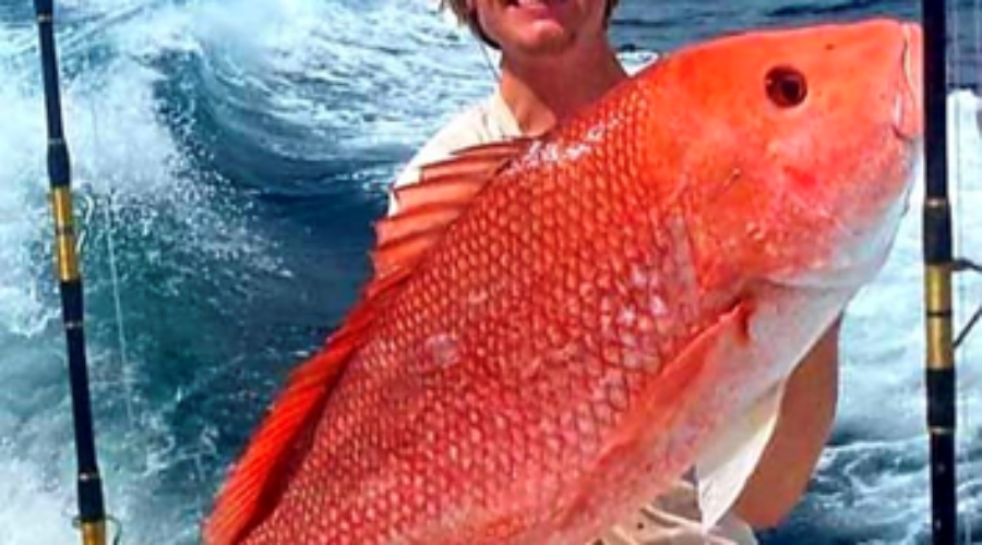 Red Snapper fishing in Mississippi