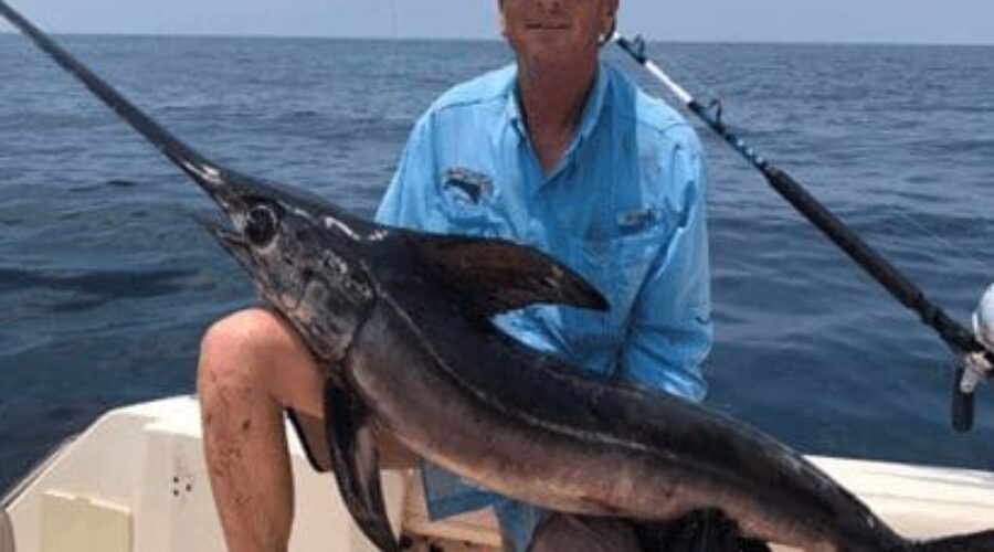 Where to Catch Swordfish
