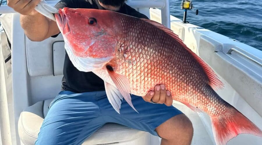 Red Snapper fishing in Mississippi