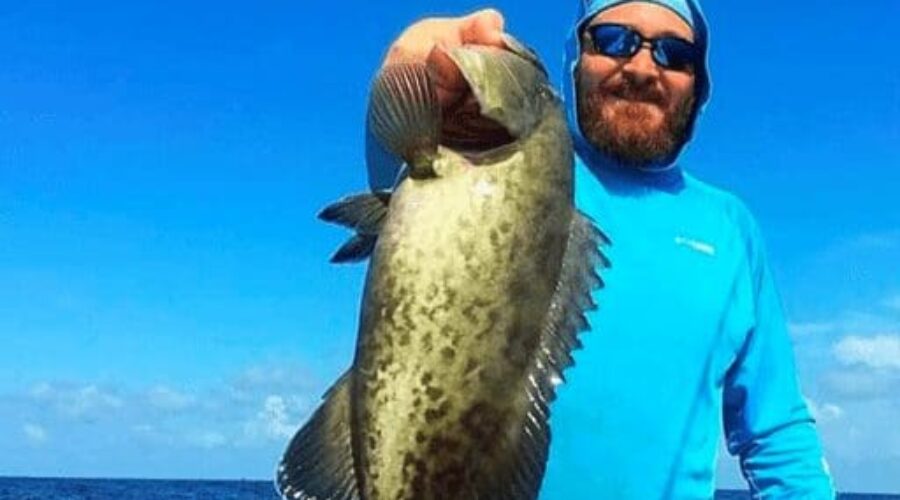 Catching grouper in Pensacola