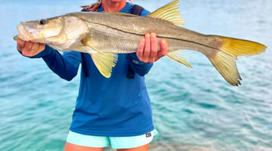 How to catch snook