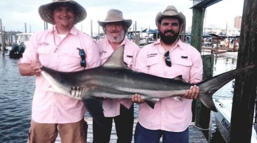 Shark fishing laws in Texas