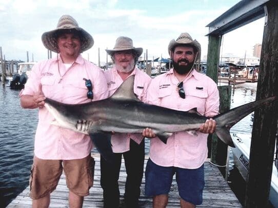 Shark fishing laws in Texas
