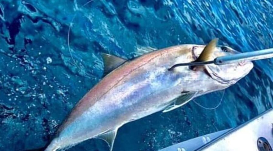 Panama City Beach Fishing Report September 2024