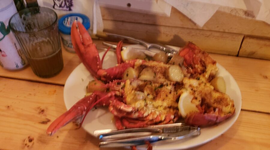 Cook Your Catch Restaurants: The Ultimate Fishing and Dining Experience with Intercoastal Safaris