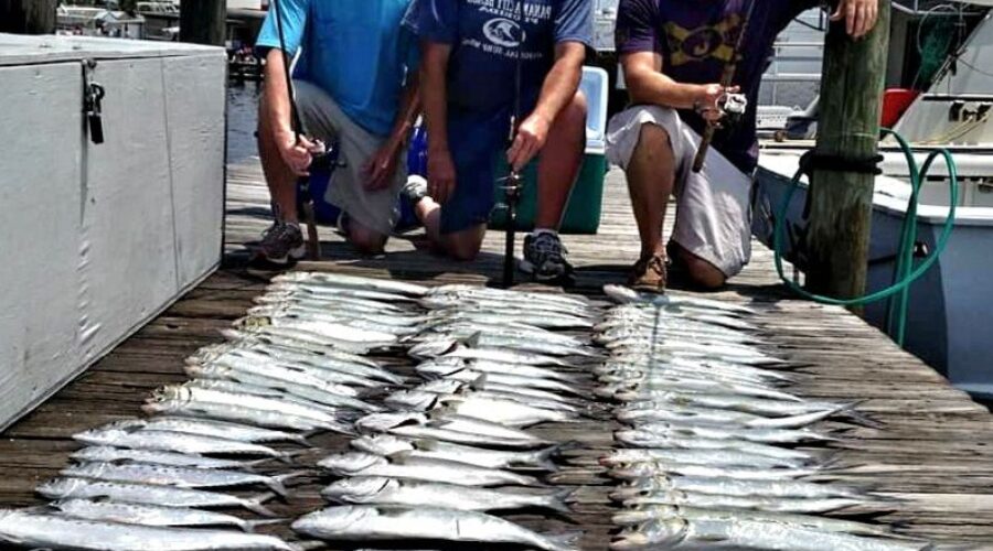 Panama City Beach Fishing Report for May 2024
