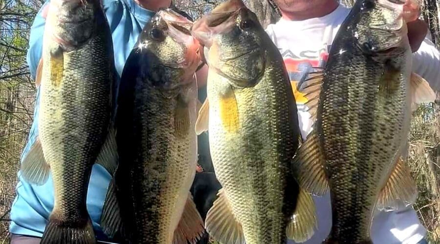 Charleston, SC –  June Fishing Report