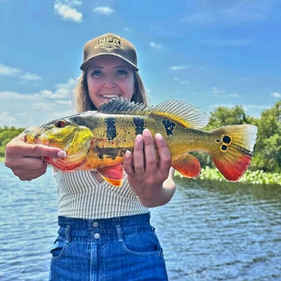 peacock bass fishing