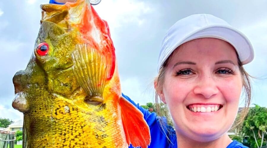 An Overview Of Peacock Bass Fishing In South Florida