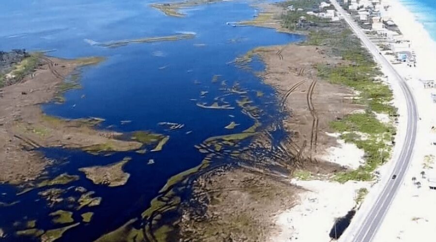 Port St. Joe, St. George Island, Apalachicola: Fall Fishing Forecast