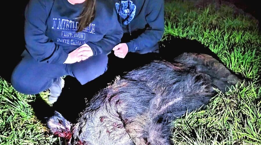 Night Vision Hog Hunting in Florida